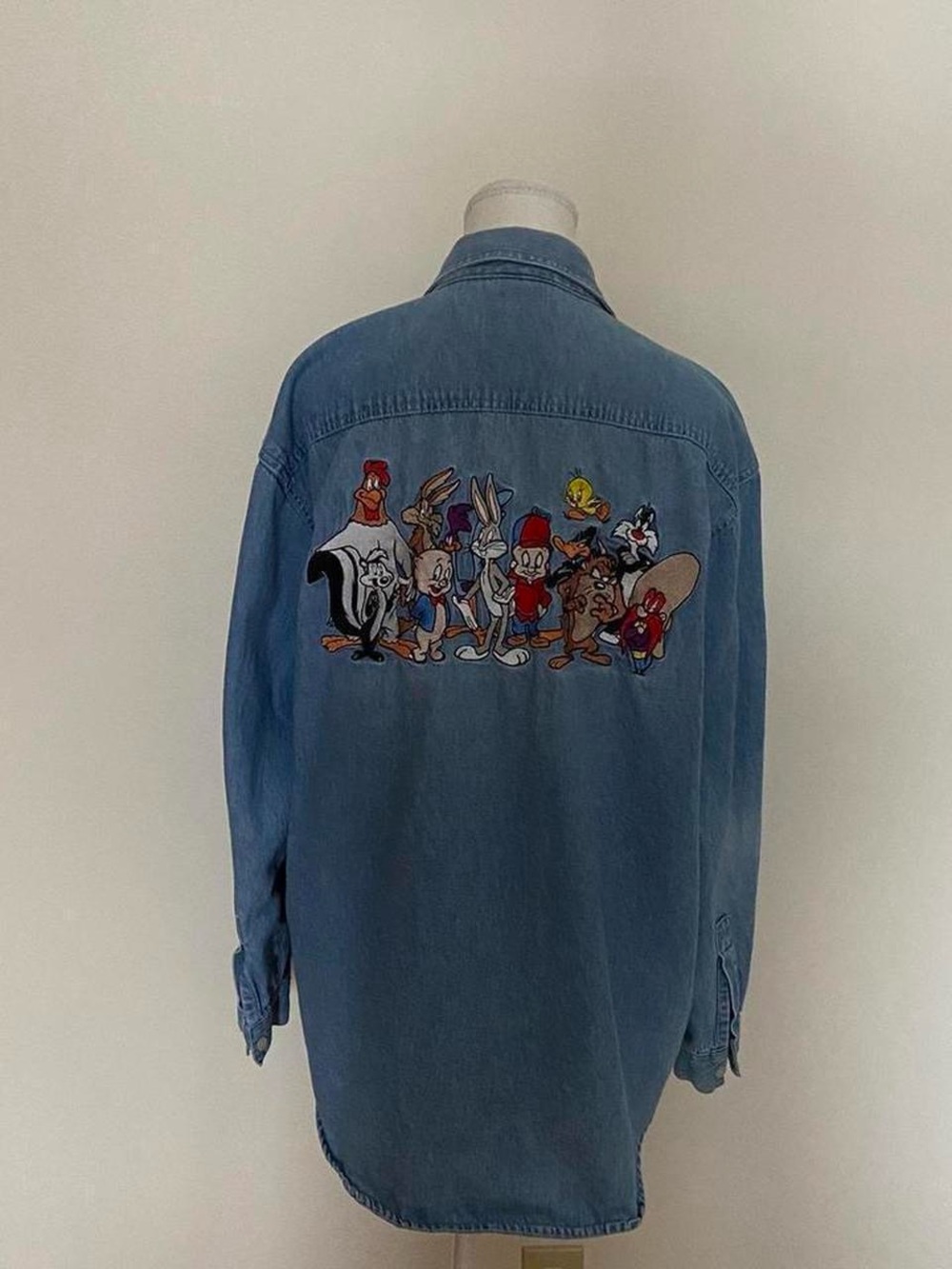 Warner Bros. Looney Tunes Multicolor Logo Denim Tag